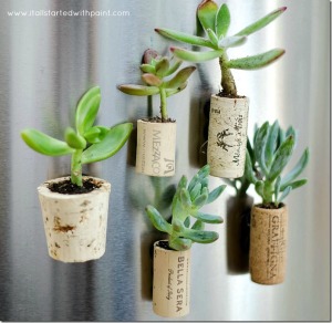wine-cork-magnet-planters-tutorial-how-to_thumb